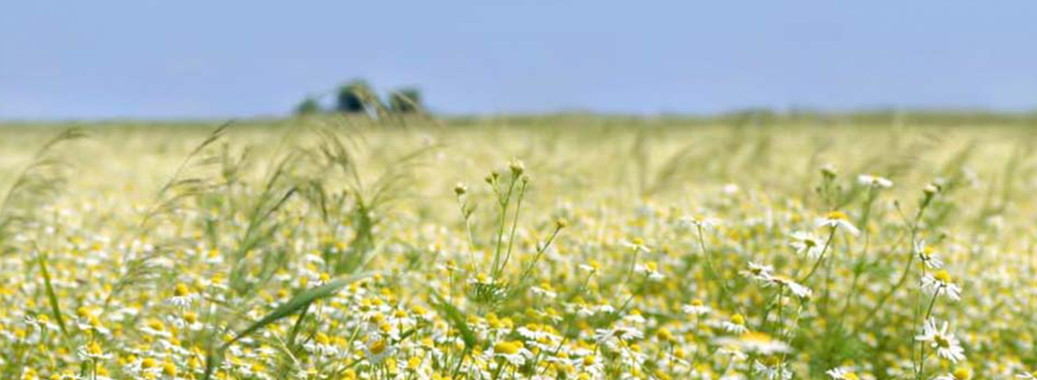 South Dakota Farm insurance coverage