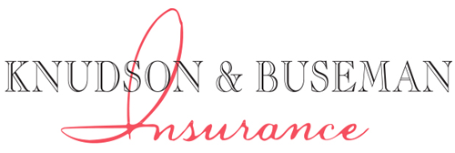 Knudson & Buseman Ins Inc